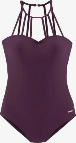 Bruno Banani Badpakken Zonder Beugel High Neck Badpak Dames Pruim