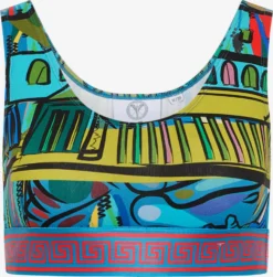 CARLO COLUCCI Tanktops Top De Zini Dames Gemengde Kleuren